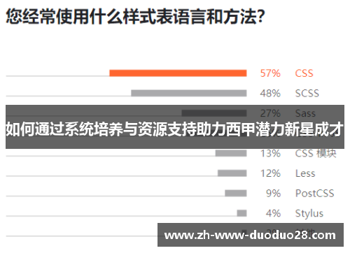 如何通过系统培养与资源支持助力西甲潜力新星成才 如何通过系统培养与资源支持助力西甲潜力新星成才