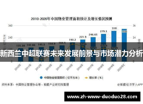 新西兰中超联赛未来发展前景与市场潜力分析 新西兰中超联赛未来发展前景与市场潜力分析
