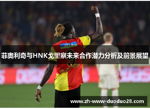 菲奥利奇与HNK戈里察未来合作潜力分析及前景展望 菲奥利奇与HNK戈里察未来合作潜力分析及前景展望