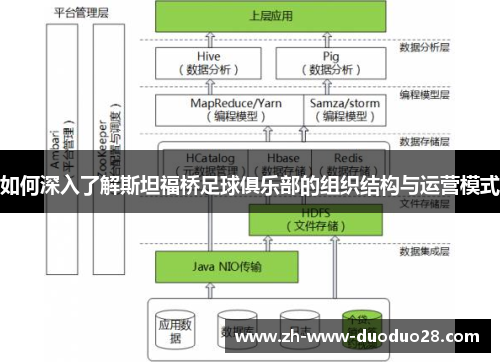 如何深入了解斯坦福桥足球俱乐部的组织结构与运营模式