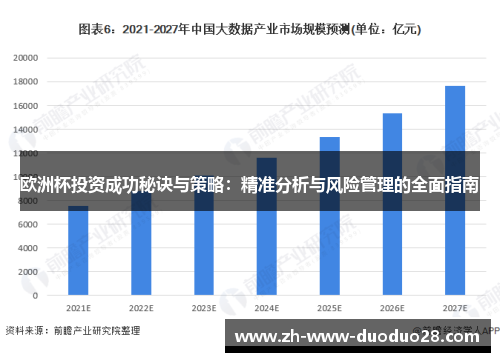 欧洲杯投资成功秘诀与策略：精准分析与风险管理的全面指南