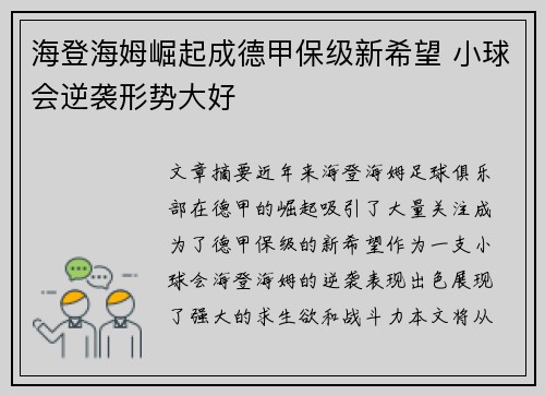 海登海姆崛起成德甲保级新希望 小球会逆袭形势大好